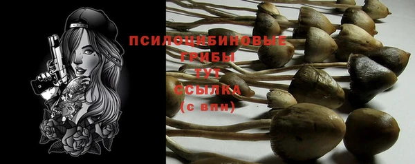 спиды Баксан